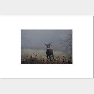 Big Buck - White-tailed Deer Posters and Art